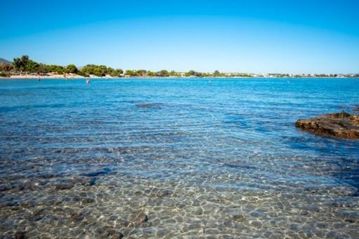 Lavish & Spacious Apt With Stunning Seaview, 10 Min Ath Airport Артеміда Екстер'єр фото